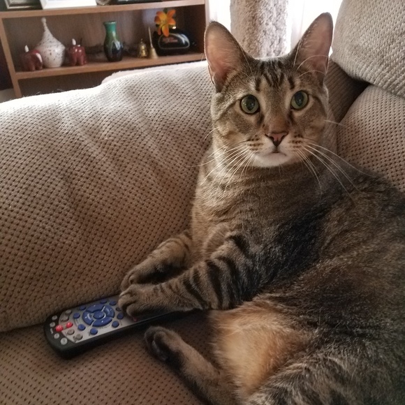 Meet your Posher, Rochelle (Roxy) - Picture 3 of 7